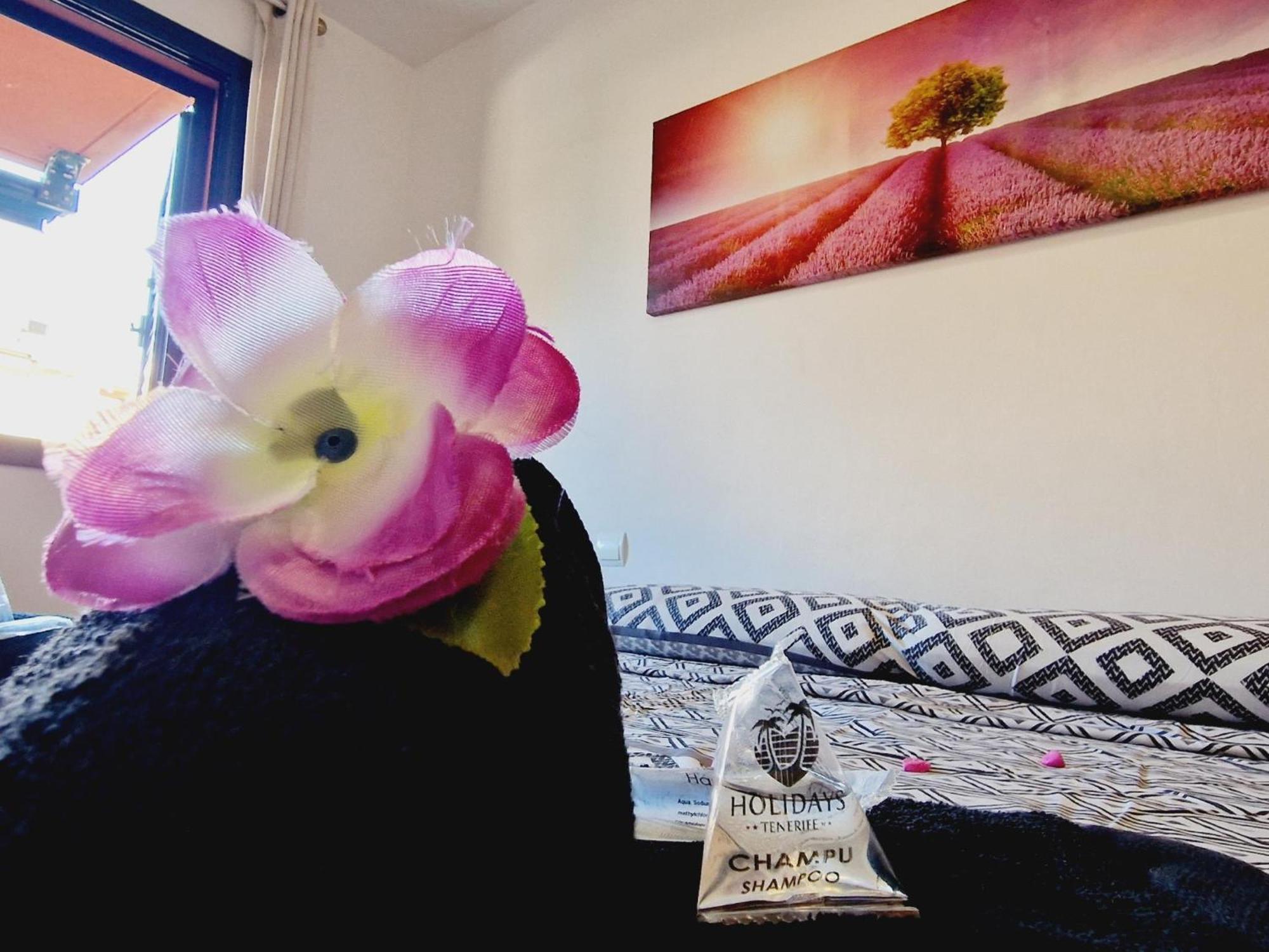 פלאיה פראיסו Paraiso 2 Bedroom Terrace Wifi Free מראה חיצוני תמונה
