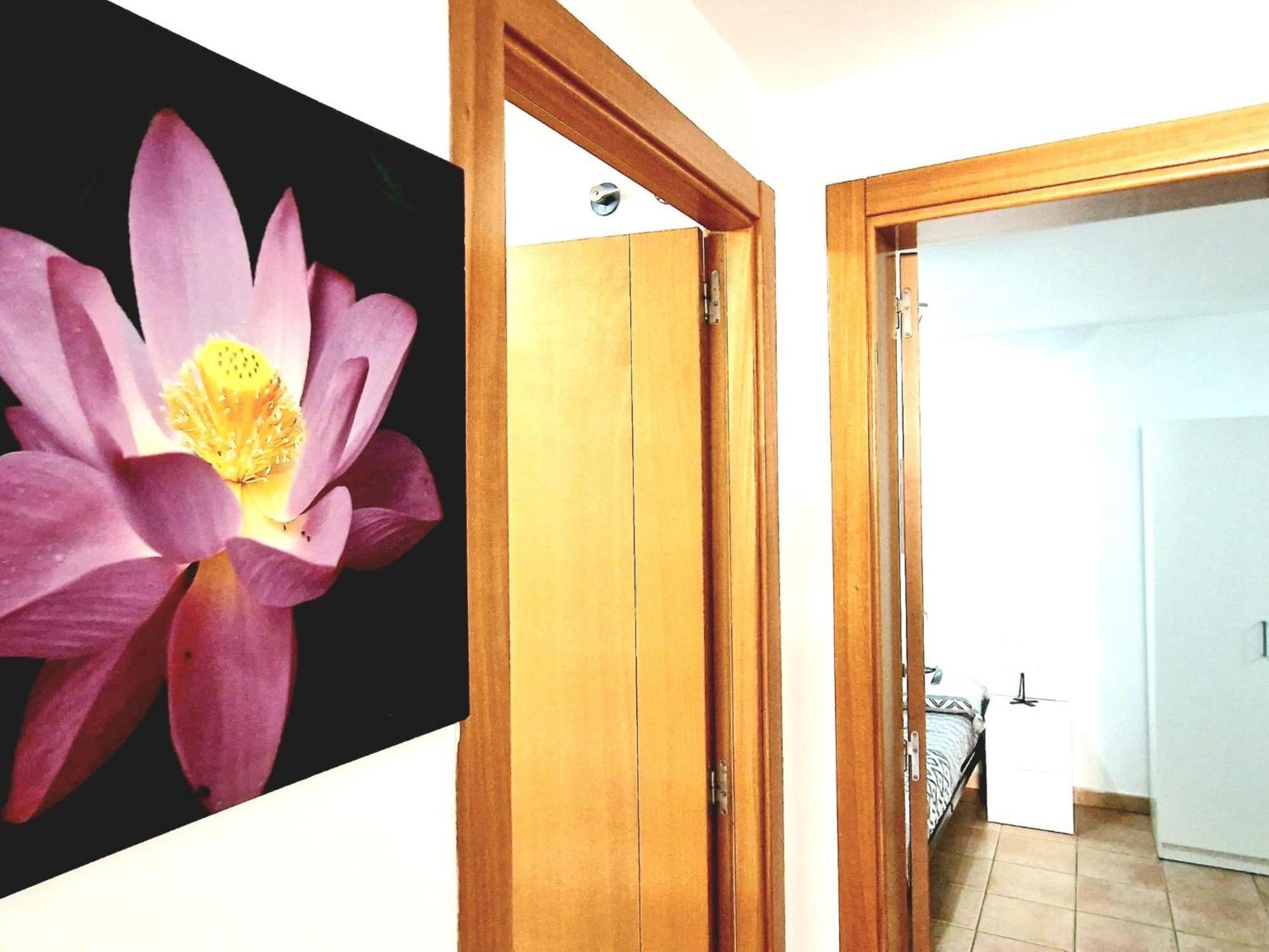 פלאיה פראיסו Paraiso 2 Bedroom Terrace Wifi Free מראה חיצוני תמונה